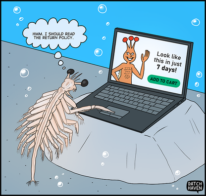 license comic (#037) • ‟Return policy”