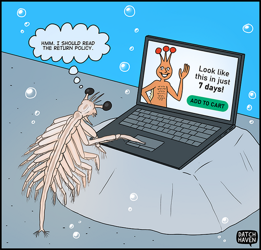 license comic (#037) • ‟Return policy”